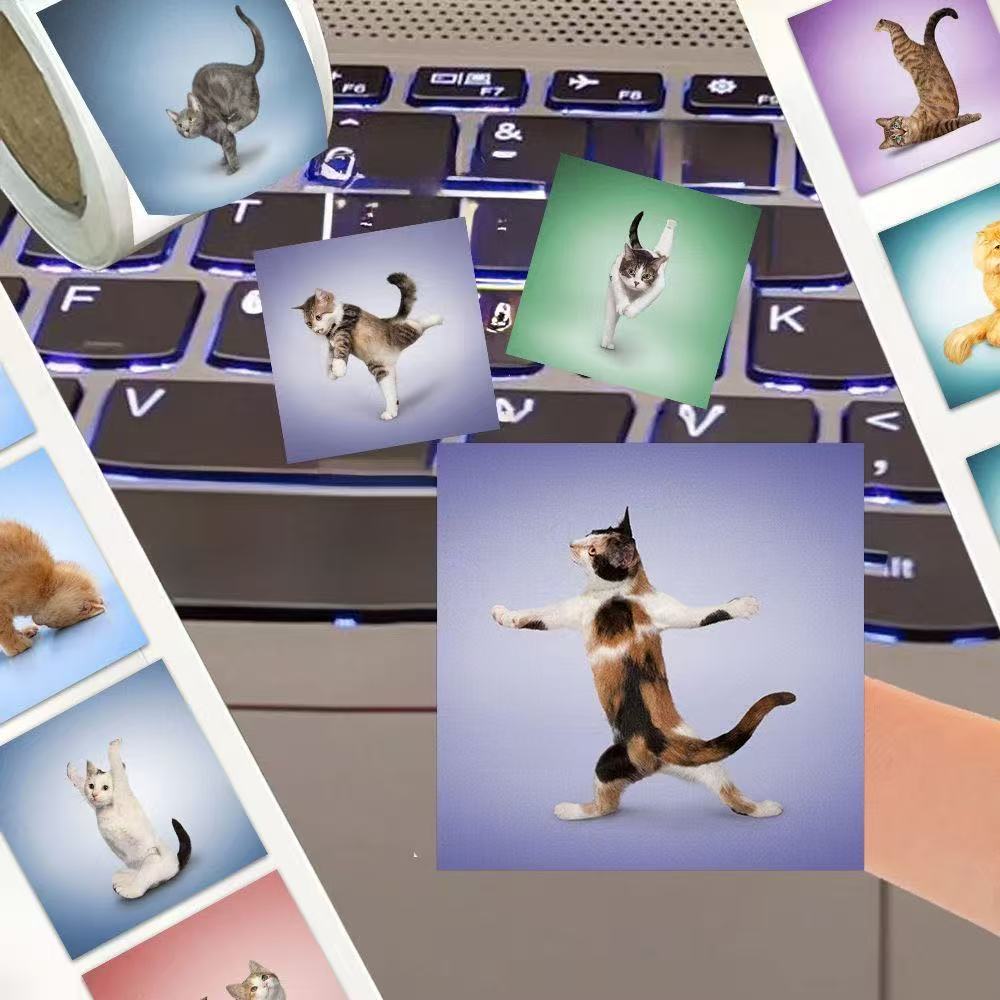 500pcs Cute Cat Roll Stickers  - Fitness Journal Planner review and price