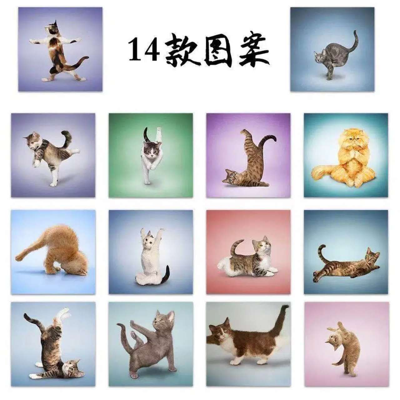 500pcs Cute Cat Roll Stickers  - Fitness Journal Planner review and price